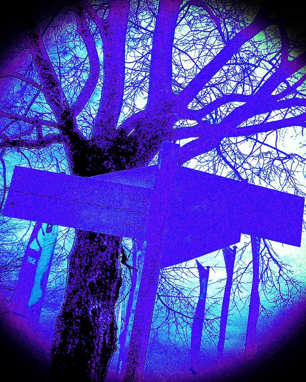 Tage des Exils - Parcours im Unbekannten Tage des Exils - Parcours im Unbekannten